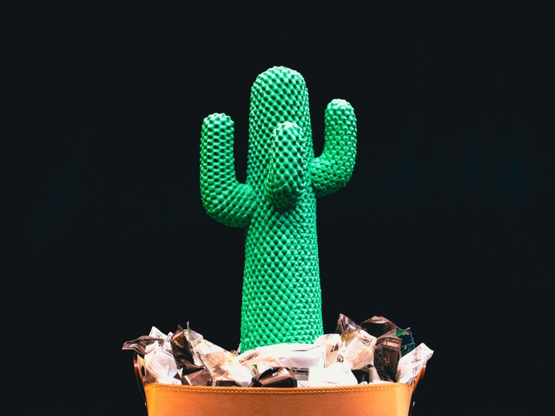 GUFRAM CACTUS