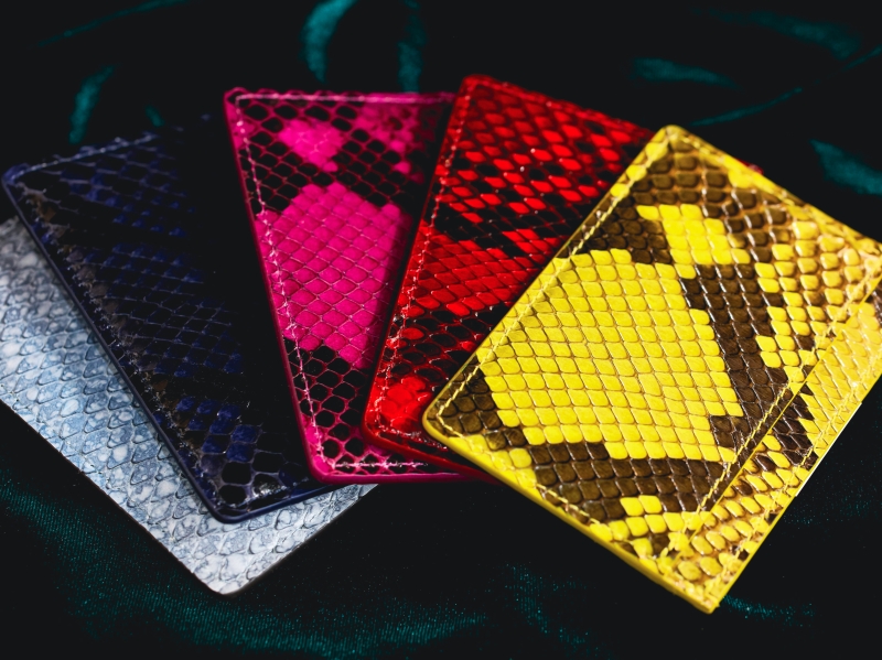 ルイ・ヴィトン porte cartes simple lizard